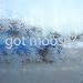 Got Moose? Gray Decal Hunt Hunting Elk Antlers Car Gray Sticker