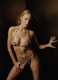 13x19 inch Photo Poster Rachel Nichols in Hot Sexy Bikini