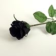Single Premium Artificial Silk Rose Bud (Black)
