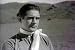 Western Classic: Thundering Thompson (1929) [DVD] A Silent Film By Ben Wilson