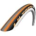 Schwalbe Ultremo ZX Tire - 700c x 23, Kevlar Bead, Black/Orange Stripe