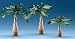 Fontanini 5" Nativity Village Landscaping Palm Tree Set #54605