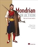 Mondrian in action : open source business analytics