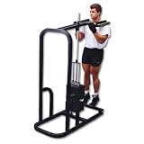 Champion Selectorized Standing Calf Machine Gym Equipment