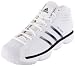 adidas Men's Pro Model 2010 Basketball Shoe