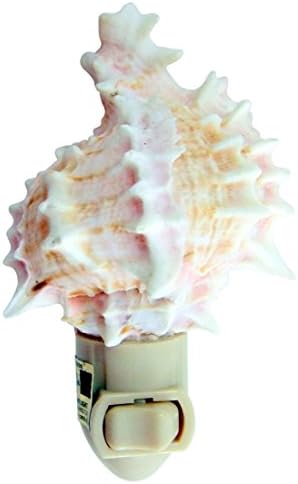 Pink Murex Shell Nightlight Real Seashell Light 4 1/2 Inch Tall Home Nautical Beach Decoration Gift