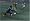 UEFA Champions League 2006 - 2007 (PS2)