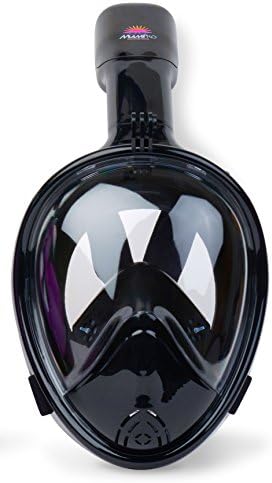 DryDive Snorkel Mask (Black, Large)