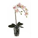 New Nearly Natural Phalaenopsis w/Vase Silk Orchid Arrangement Perfect Brilliant Color Realistic