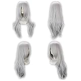 Prettymart Cosplay Wig Bakuman Shinta Fukuda Lang Silber Weiss Peruecke