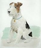 Wire Haired Fox Terrier Etching , Animals, Dogs Birds Engraving Intaglio