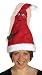 Adult Singing Santa Hat