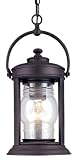 Station Square Traditional Outdoor Pendant Light - 8.75