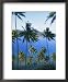 Palm Trees at Matangi Island, Qamea Island in Background, Fiji, South Pacific Islands Framed Art Poster Print by Lousie Murray, 18x22