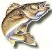 Rivers Edge Magnetic Auto / Truck / Safe Art - Walleye Image