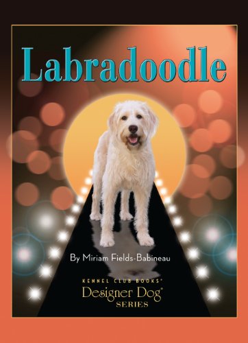 Labradoodle (Designer Dog)
