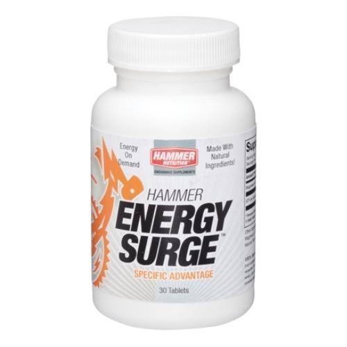 Hammer Nutrition Energy Surge 30ct