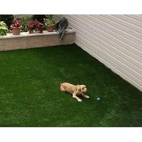 3 ' X 3' Premium Synthetic Turf. Size 46oz. Rubber Backed with Drainage Holes.