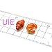 084LBG Croissant Mold Bread Mold Silicone Flexible Mold - Sugarcraft Fondant Cake Decoration Polymer Clay Resin
