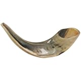 Small Shofar.