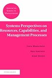 Systems Perspectives on Resources, Capabilities, and Management Processes (Advanced Series in Management) (Advanced Series in Management) (Advanced Series in Management)