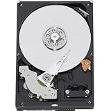 41j5VfZ9GrL. SL160  New Western Digital 250 Gb Caviar Blue 3.5 Inch Internal Sataii Hard Drive 8 Mb Buffer Hot Swappable Reviews
