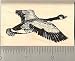 Canadian Goose Rubber Stamp - Wood Mounted