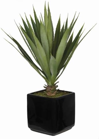 Artificial Baby Yucca In Black Cube Ceramic Vase