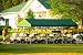 ShelterLogic Celebration II Heavy-Duty Decorative Canopy - 12ft. x 30ft., 2in. Frame, Green , Model# 25769