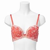 gviTriumphj WF[i\tF[W@604V[Y@4^3JbvuW[j fBX