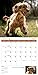 Turner Photo 2017 Playful Puppies Photo Mini Wall Calendar, 7 x 14 inches Opened (17998950017)