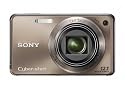 Sony Cyber-shot DSC-W290 12 MP Digital Camera with 5x Optical Zoom and Super Steady Shot Image Stabilization (Bronze)