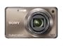 Sony Cyber-shot DSC-W290 12 MP Digital Camera with 5x Optical Zoom and Super Steady Shot Image Stabilization (Bronze)