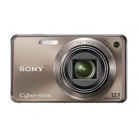 Sony Cyber-shot DSC-W290 12 MP Digital Camera with 5x Optical Zoom and Super Steady Shot Image Stabilization (Bronze)