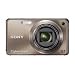 Sony Cyber-shot DSC-W290 12 MP Digital Camera with 5x Optical Zoom and Super Steady Shot Image Stabilization (Bronze)