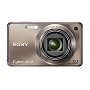 Sony Cyber-shot DSC-W290 12 MP Digital Camera with 5x Optical Zoom and Super Steady Shot Image Stabilization (Bronze)