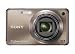 Sony Cyber-shot DSC-W290 12 MP Digital Camera with 5x Optical Zoom and Super Steady Shot Image Stabilization (Bronze)