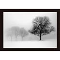 Winter Trees II Print - 28.75x41.5"