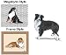 Border Collie Mouse Pad