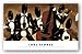 Brass and String Quintet by Lori McPhee 12x24 Art Print Poster African-American