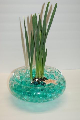 Rainbow Crystal Mud - Soil Beads - Colorful Soil Replacement for Flower Succulents and Centerpieces (Turquoise)