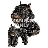 Bouvier des Flandres Desk Set