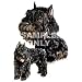Bouvier des Flandres Desk Set