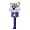 Northwestern Wildcats