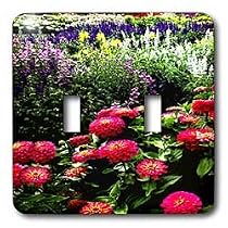 Flowers - Pink Zinnias - Light Switch Covers - double toggle switch