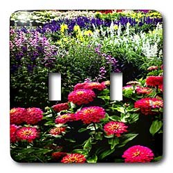 Flowers - Pink Zinnias - Light Switch Covers - double toggle switch