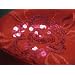 41j6y%2BTCc5L. AA75  Sequin Floral Fedora / Red / OH, Its Red!