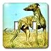 Dogs Greyhound - Brindle Greyhound - Light Switch Covers - double toggle switch