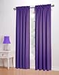 S. Lichtenberg Kylee 54 by 63-Inch Panel, Purple