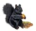 Wildlife / Domestic Animals : Sitting Black Squirrel Holding Acorn 9